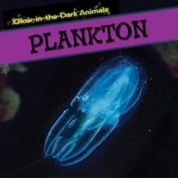 Plankton 9781499401776