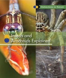 Insects and Arachnids Explained 9781502622662