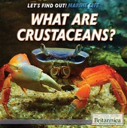What Are Crustaceans? 9781508103851