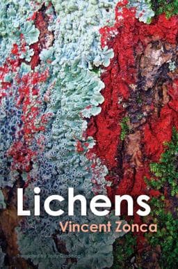 Lichens 9781509553457