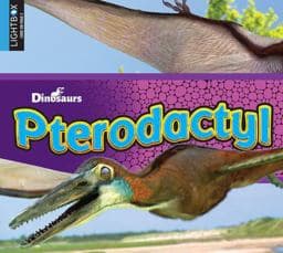 Pterodactyl 9781510519176