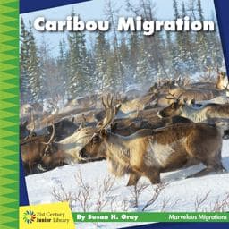 Caribou Migration 9781534168558