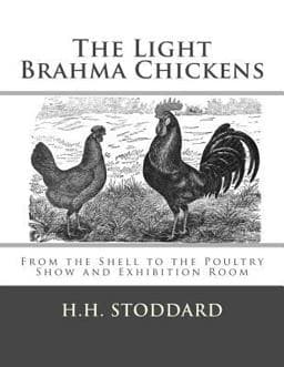 The Light Brahma Chickens (the Light Brahma Fowls) 9781548372873