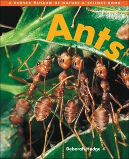 Ants 9781553376552