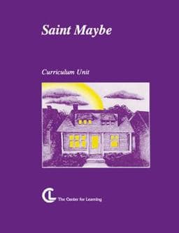 Saint Maybe 9781560775485