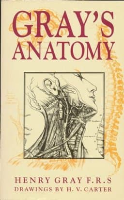 Gray's Anatomy 9781566198219