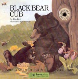 Black Bear Cub 9781568990507