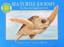 Sea Turtle Journey 9781568991917