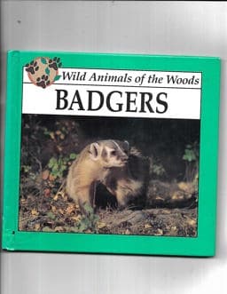 Badgers 9781571030948