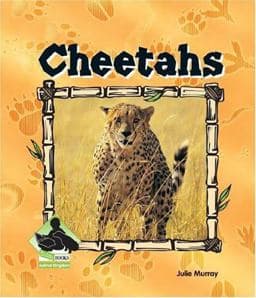 Cheetahs 9781591973058