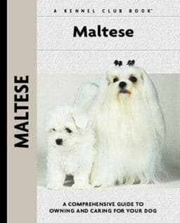 Maltese 9781593782511