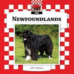 Newfoundlands 9781604537833