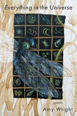 Everything in the Universe 9781604542370