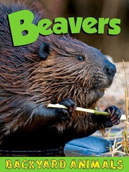 Beavers 9781605968773