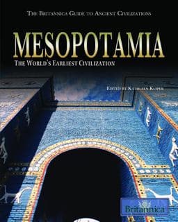 Mesopotamia 9781615301126