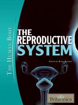 The Reproductive System 9781615302536