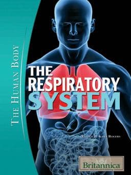 The Respiratory System 9781615302543