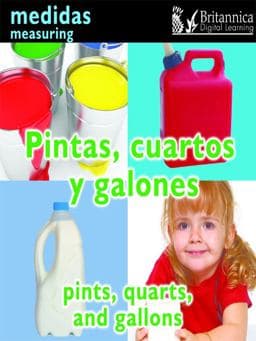 Conceptos/Concepts 9781615358526