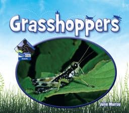 Grasshoppers 9781616134860