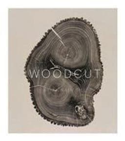 Woodcut (the Artwork of Bryan Nash Gill) 9781616890483