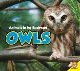 Owls 9781621272137