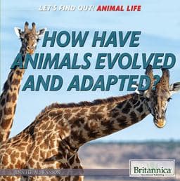 How Have Animals Evolved and Adapted? 9781622759972