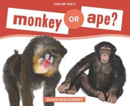 Monkey or Ape? 9781624032875