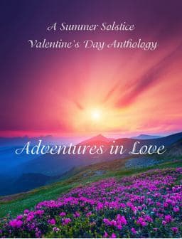Adventures in Love 9781625263315