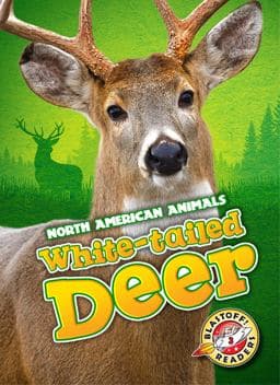 White-Tailed Deer 9781626171954