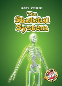 The Skeletal System 9781626174740