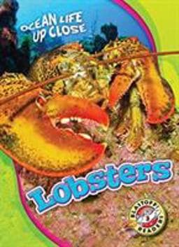 Lobsters 9781626176423
