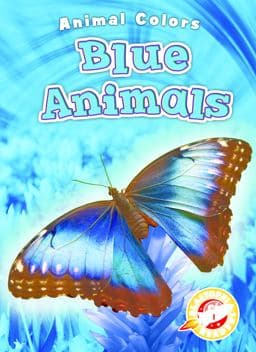 Blue Animals 9781626178274