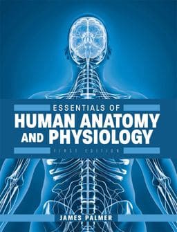Human Anatomy Lessons 9781634877534