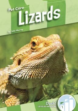 Lizards 9781641856690
