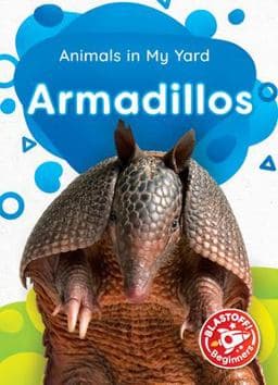 Armadillos 9781644873595