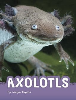 Axolotls 9781666342789