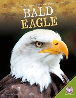 Bald Eagle 9781680784640