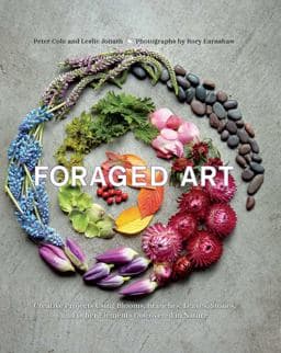 Foraged Art 9781681882598