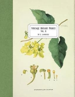 Vintage Botany Prints: Vol. 9 9781722424534