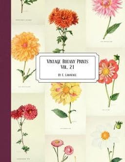 Vintage Botany Prints: Vol. 21 9781726309561