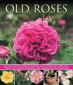 Old Roses 9781780192413
