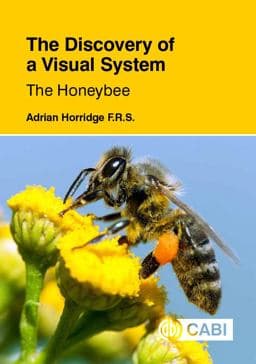 The Discovery of a Visual System - the Honeybee 9781789240894