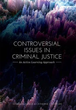 Controversial Issues in Criminal Justice 9781793504173