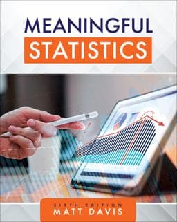 Meaningful Statistics 9781793543806