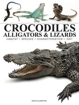 Crocodiles, Alligators and Lizards 9781838866051