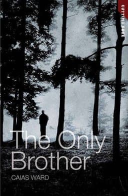The Only Brother 9781841677194