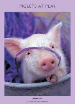 Piglets Notecards 9781841726366