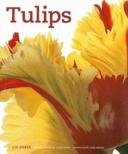 Tulips 9781844004324