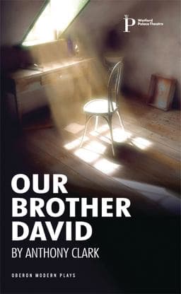 Our Brother David 9781849432504