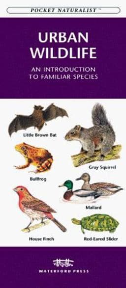 Urban Wildlife 9781889903262